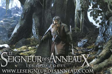 Le seigneur des Anneaux